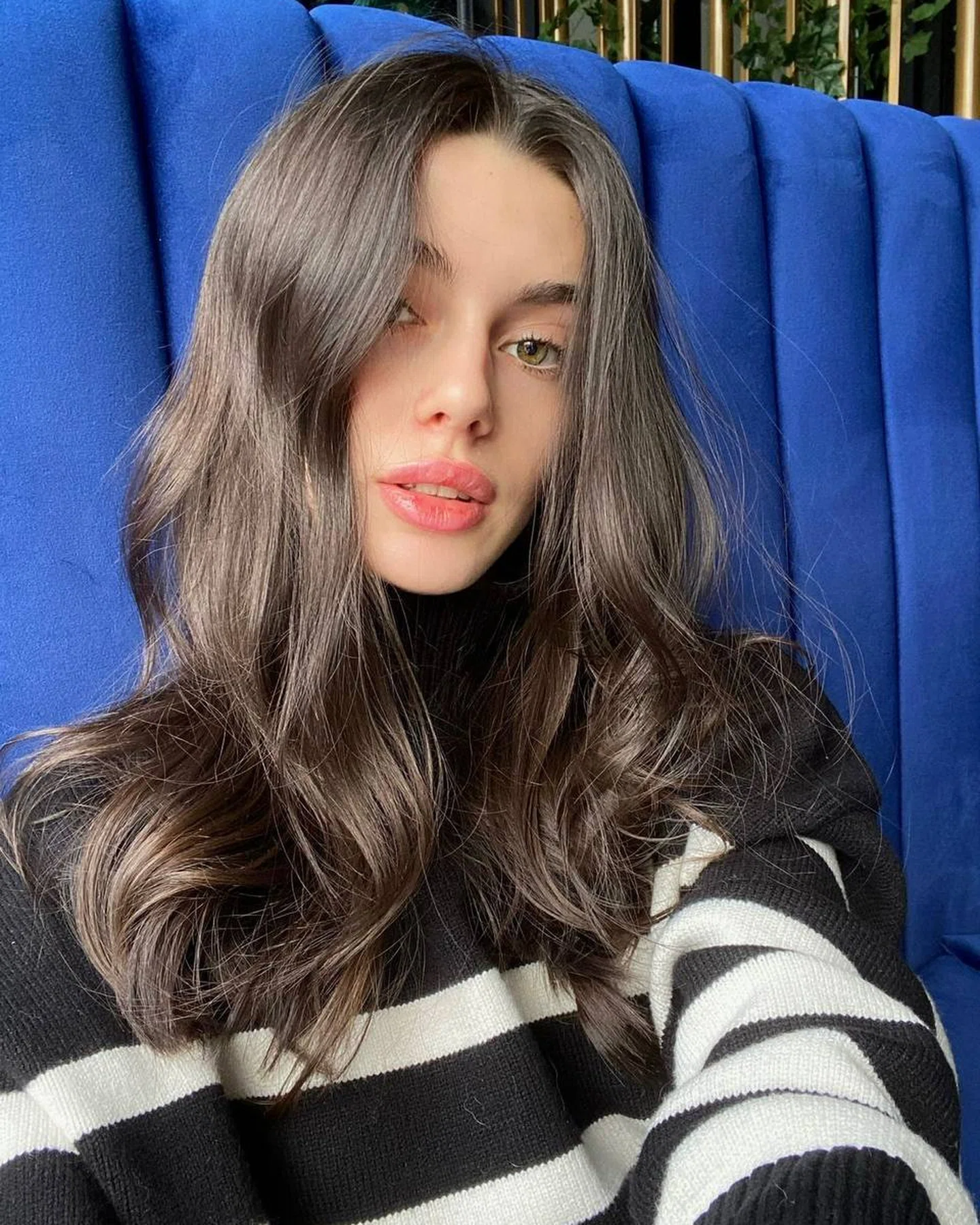 Vlada